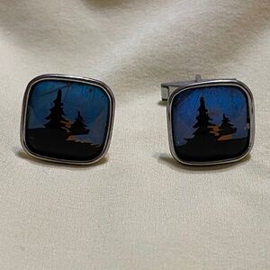 Vintage 50's Butterfly Wing Blue Evergreen Sunset cuff links Party Wedding